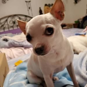 Meet your Posher, Christi